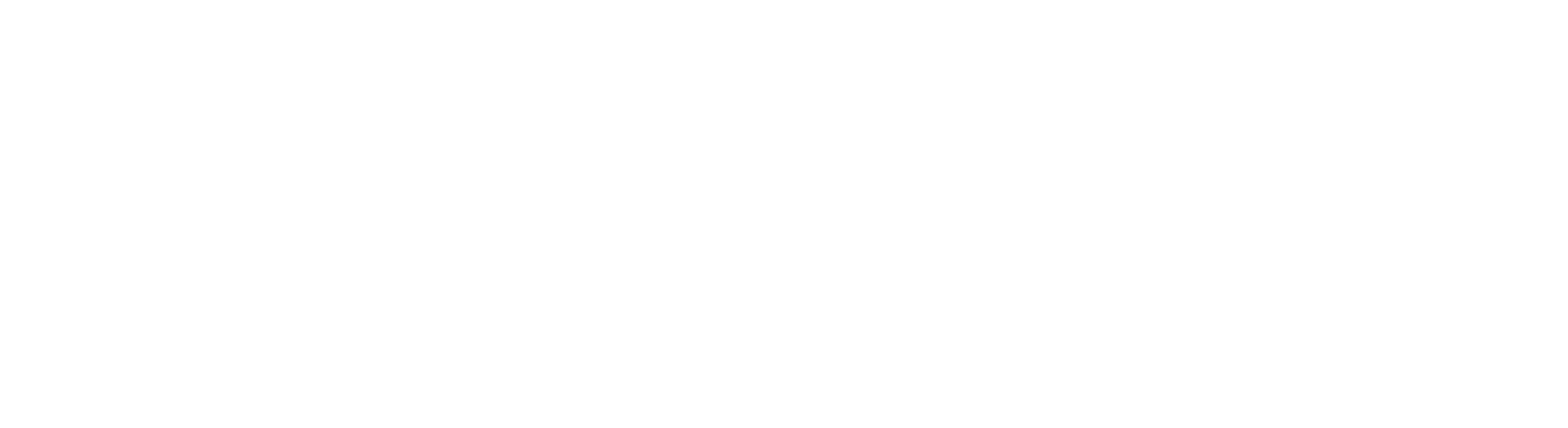 NightID logo